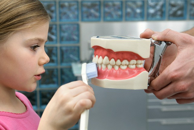 О профилактике стоматологических заболеваний у детей школьного возраста