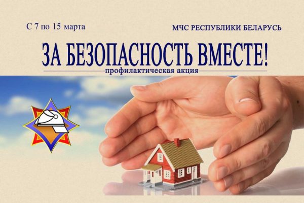 Профилактическая акция «За безопасность вместе»